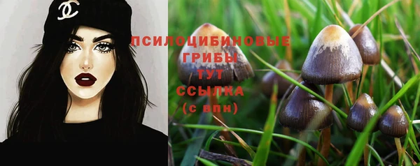 COCAINE Медвежьегорск