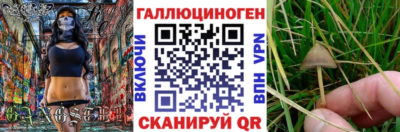 Псилоцибиновые грибы GOLDEN TEACHER  ссылка на мегу рабочий сайт  Ува 